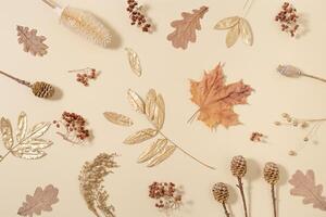 Autumn pattern with yellow and golden autumn leaves, natural dry berries. Fall time concept. photo