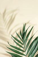 Natural green palm leaf with sun shadow on light yellow. Summer minimal concept, beautiful daylight photo