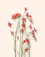 Botanical flowering flat lay with red bellflowers on pink peach color background, floral design, minimal aesthetic photo. Beautiful nature still life with wild flowers, summer blossoming concept photo