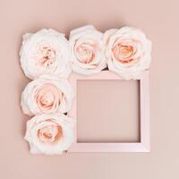 Five beautiful white rose flowers with frame for your text on pastel pink background. Holiday minimal concept. photo