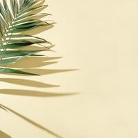 Summer minimal background with natural green palm leaves with sun shadows. Pastel colored aesthetic photo, photo