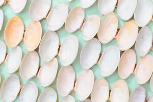 White and soft pink beige shells. Summer design background with natural beautiful seashells. photo