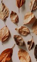 Autumnal Serenity A Gentle Symphony of Dried Leaves Creating a Calming and Natural Composition for Fall photo