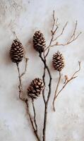 Elegant autumnal composition featuring textured pine cones and delicate bare branches creating a serene atmosphere photo