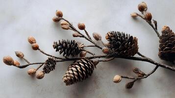 A harmonious blend of rustic charm featuring pine cones and dried buds delicately arranged on a branch photo