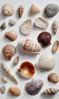 Assortment of seashells a captivating collection of natural wonders from the ocean's depths presented on bright backdrop photo