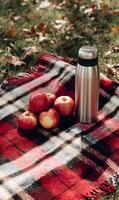 Autumn picnic with fresh apples and a thermos on a cozy red plaid blanket in the park sunlit photo