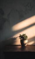 Small succulent in ceramic pot bathed in sunlight on a rustic wooden table evoking serenity and calm photo