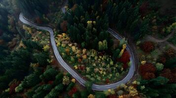 Aerial view of winding road cutting through autumn forest with vibrant foliage and evergreen trees photo