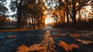 Autumn road scenery with golden sunlight filtering through the trees and fallen leaves scattered photo