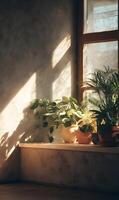 Indoor plants enjoying sunlight on a windowsill creating an ambiance of warmth and tranquility inside the house photo