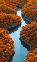 Autumnal River Flowing Through Vibrant Forest Landscape Creating a Serene Natural Scene Reflecting Calmness photo