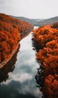 Autumn serenity a tranquil river reflecting cloudy skies amid vibrant fall foliage beauty and nature abound photo