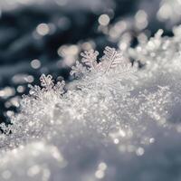 Passing Frost Lines Showing Ideal Geometry photo