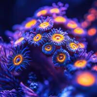 Petite Seafloor Flora Opening Amidst Warm Underwater Scenery photo
