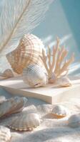 Podium Crafted with Sand and Decorated by Pristine Seashells photo