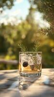 Refreshing Blackberry Rosemary Gin Fizz for Hot Weather Enjoyment photo