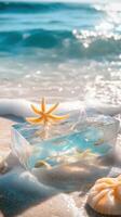 See Through Holiday Memento with Coastal Keepsakes photo