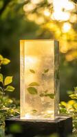 See Through Green Display with Eco Conscious Material Presentation photo