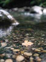 Sparkling Crystal Strands in Old Mountain Rocks photo