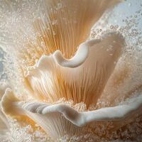 Spore Generation Unit Dispersing Summer Woods Seeds photo