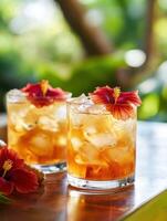 Sunlit Garden Tasting Iced Hibiscus Ginger Brew photo