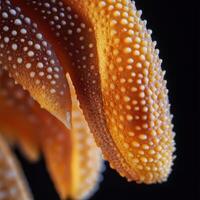 Tiny Organic Mechanism Clinging Against Earths Gravity In Heat photo