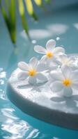 Water Feature Adorned Gracefully with Colorful Floating Tropical Flowers photo