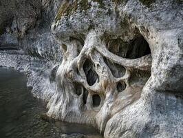 Weathered Wood Grains Visible After Rivers Fierce Flow photo