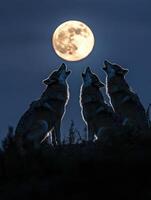 Whispering Woods Filling Night Air With Legends photo