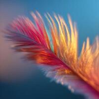 A beautiful single feather floats and dances in the light breeze photo
