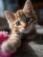A charming baby cat with an engaging look of pure curiosity photo
