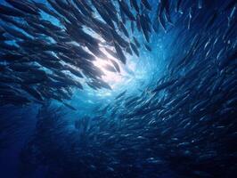 A dense shoal of bright silver fish in coordinated motion photo