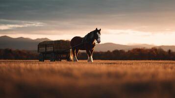 A hardworking farm horse pulls loaded wagon through ripe field photo