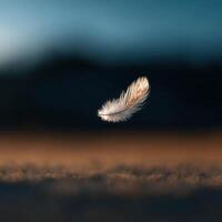 A minuscule feather makes a gentle poetic journey falling through space photo