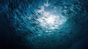 A massive school of fish forms a dazzling oceanic spiral photo