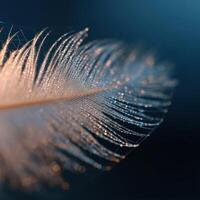 A soft feather caught gently by a spiderweb with dew drops photo