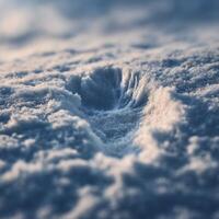 A solitary bird footprint stands out on pristine snowy ground photo