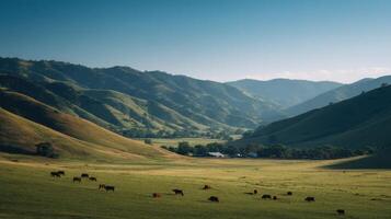 A quaint herd of dairy cows munches grass in a radiant valley scene photo