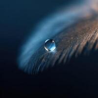 A tiny sparkling dewdrop caught on the edge of a bird feather photo
