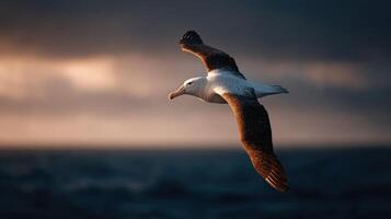 An albatross in flight navigates wild skies over a stormy ocean below photo