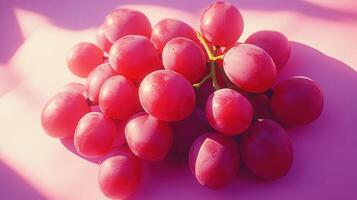 Pink grapes cluster close-up photo