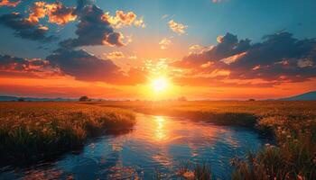 Sunset over a tranquil stream in a grassy field photo