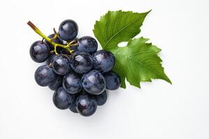 Cabernet Sauvignon Wine, Copy Space, Food Image photo