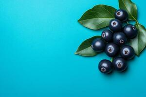 Aronia on a vibrant background, photorealistic top view Aronia plant photo