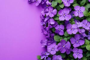 Top view photorealistic Aubrieta, flower set on a vibrant background photo