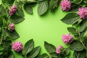 Top view Bee Balm on a vibrant background, flower setting photo