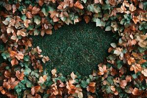 Beech on a vibrant background, photorealistic top view Beech plant photo