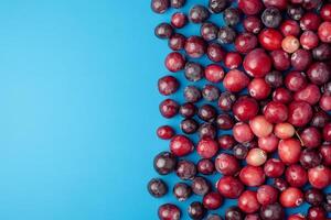 Top view Cranberry on a vibrant background, plant setting photo