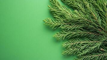 Cryptomeria japonica on a vibrant background, top view photorealistic plant photo